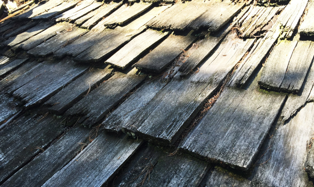 Rotting and dead cedar wood shakes.