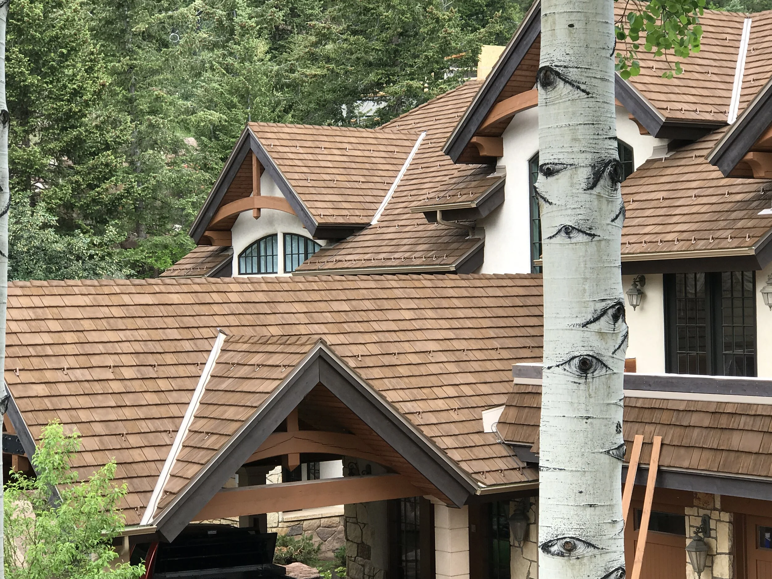 Live Oak-Ajax Roofing-Aspen5.JPG
