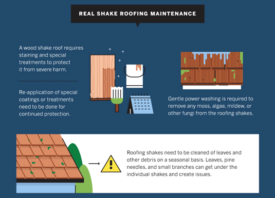 shake maintenance tips