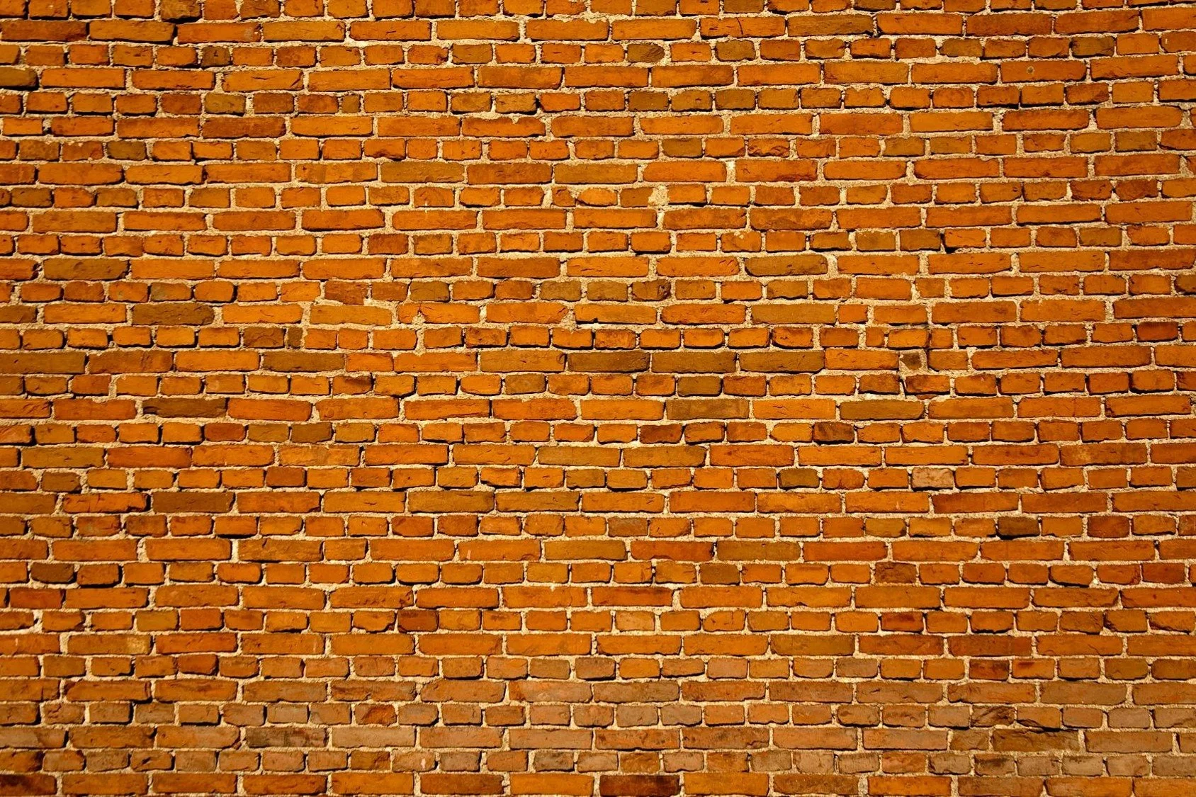 photo of a birck wall