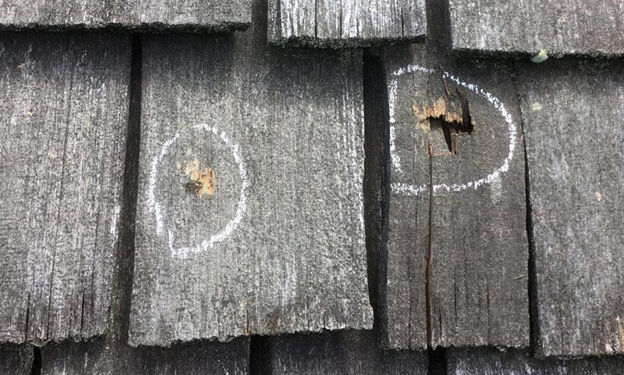 An image of a roof problem with issues circled in white.