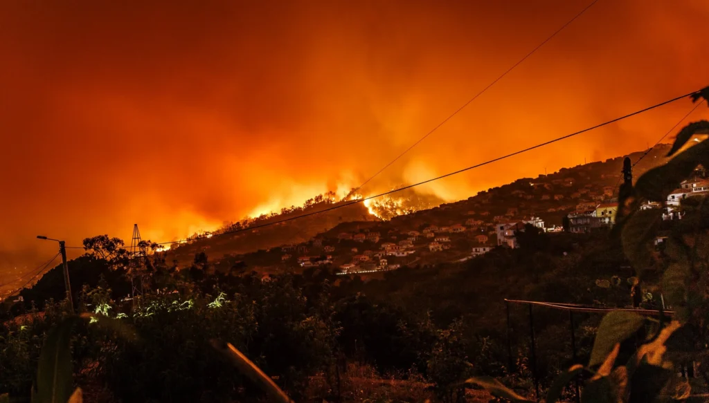 fires burning down houses and what causes wildfires