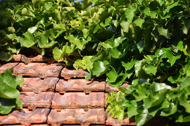 Concrete tile roof with trees in the background.