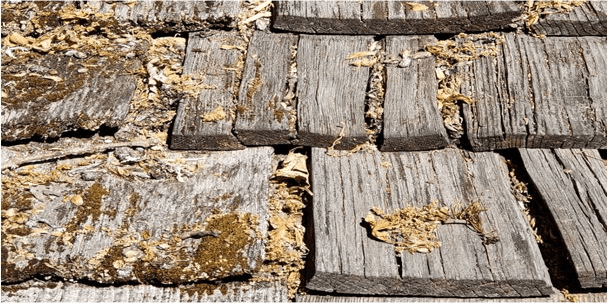 natural-wood-shake-with-mold-algae-growth-damaged-by-weather.png