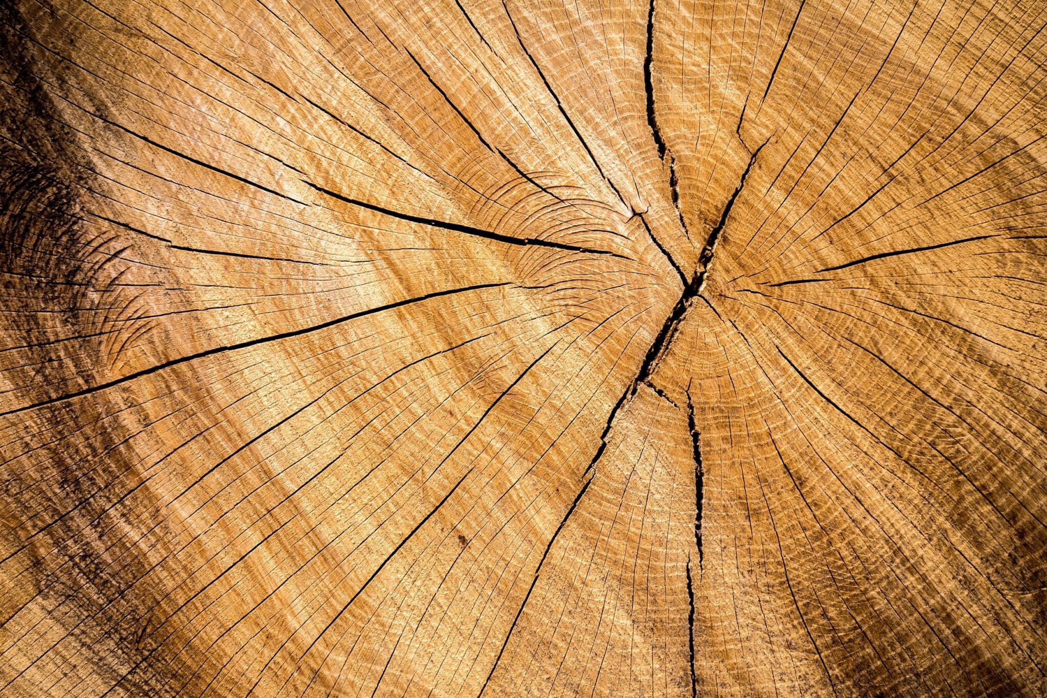 photo-of-old-wood-cedar.jpg