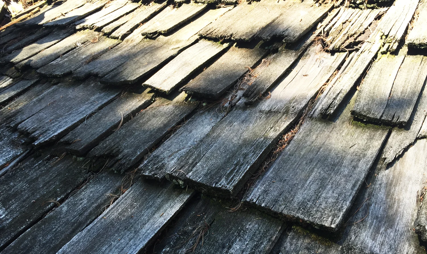 Wood shake shingles warping and discolored.